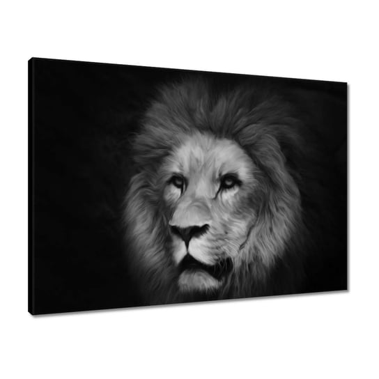 Obraz 70x50 Lew król zwierząt ZeSmakiem