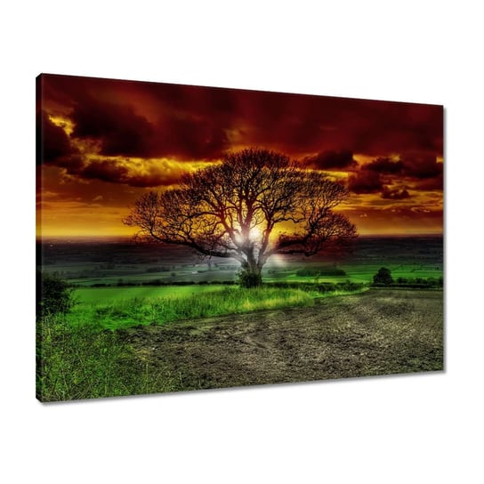 Obraz 70x50 Magiczne drzewo krajobraz ZeSmakiem