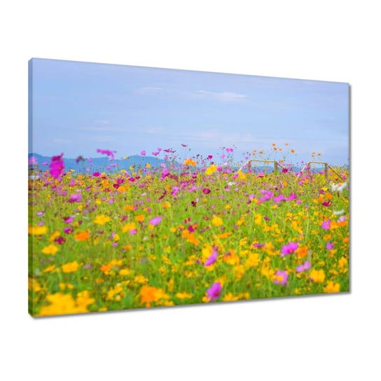 Obraz 70x50 Morze kwiatów Kwiatki ZeSmakiem