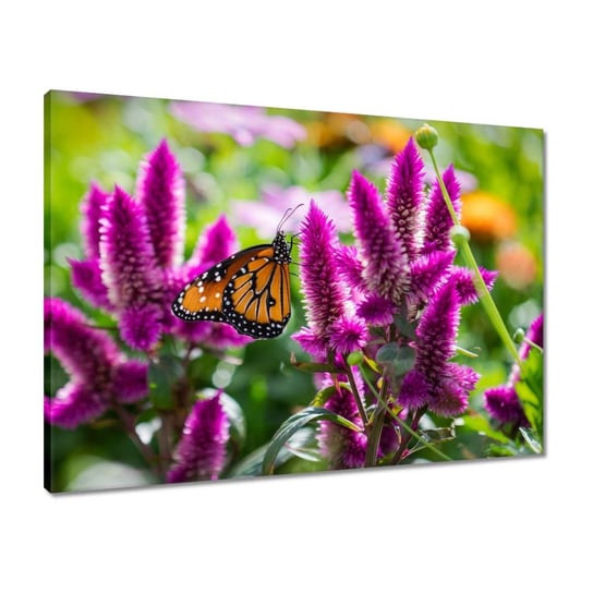 Obraz 70x50 Motylek na kwiatkach ZeSmakiem