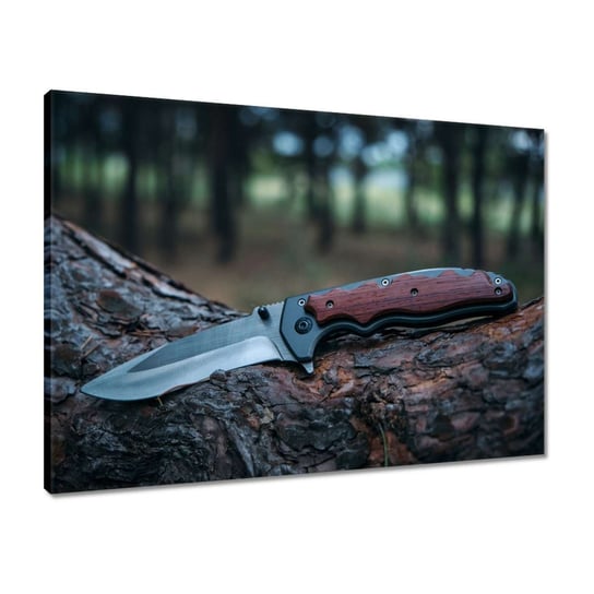 Obraz 70x50 Nóż leżący na pniu drzewa ZeSmakiem