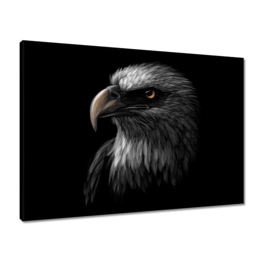 Obraz 70x50 Orzeł Biały ptak orły ZeSmakiem