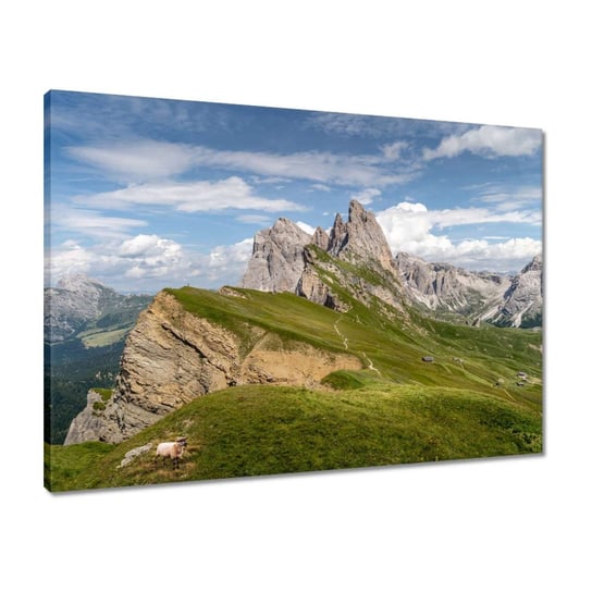 Obraz 70x50 Owca w górach Góry Widok ZeSmakiem