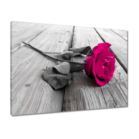 Obraz 70x50 Piękna róża na moście ZeSmakiem