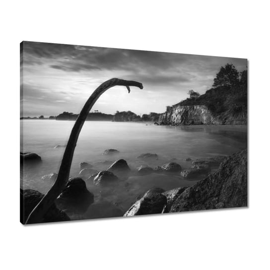 Obraz 70x50 Plaża z ostrymi klifami ZeSmakiem