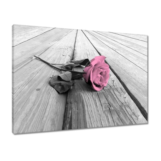 Obraz 70x50 Pudrowa róża na deskach ZeSmakiem