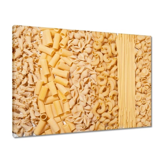 Obraz 70x50 Rodzaje makaronów pasta ZeSmakiem
