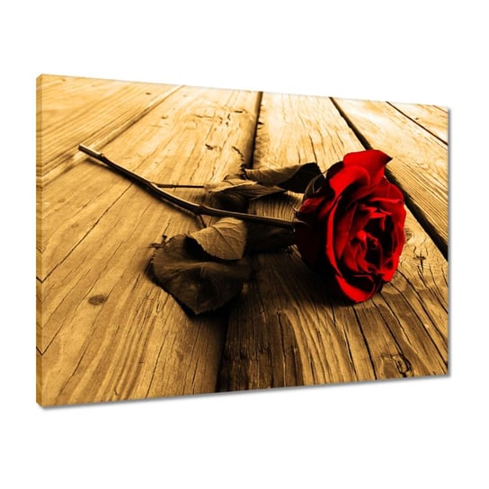 Obraz 70x50 Róża na deskach sepia ZeSmakiem