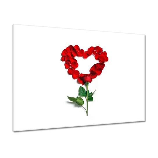 Obraz 70x50 Różane Serce Dowód Miłość ZeSmakiem