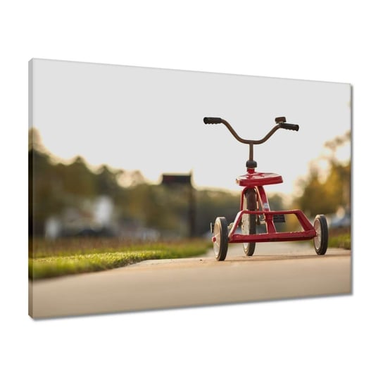 Obraz 70x50 Trójkołowy rowerek ZeSmakiem