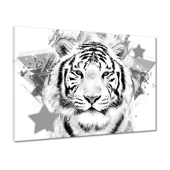 Obraz 70x50 Tygrys głowa grafika ZeSmakiem