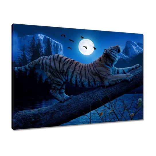 Obraz 70x50 Tygrys na gałęzi nocą ZeSmakiem