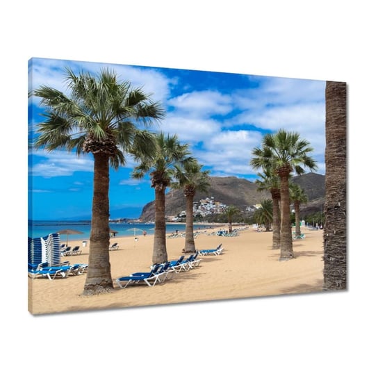 Obraz 70x50 Wielkie palmy na plaży ZeSmakiem