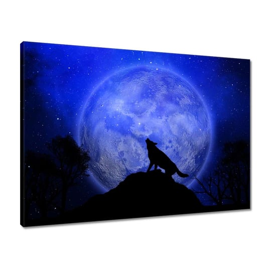 Obraz 70x50 Wilk wyje do księżyca Noc ZeSmakiem