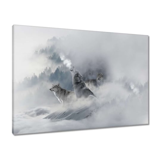 Obraz 70x50 Wilki we mgle Mgła Zima ZeSmakiem