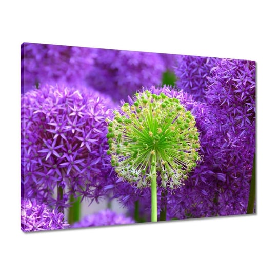 Obraz 70x50 Zielony kwiat ZeSmakiem