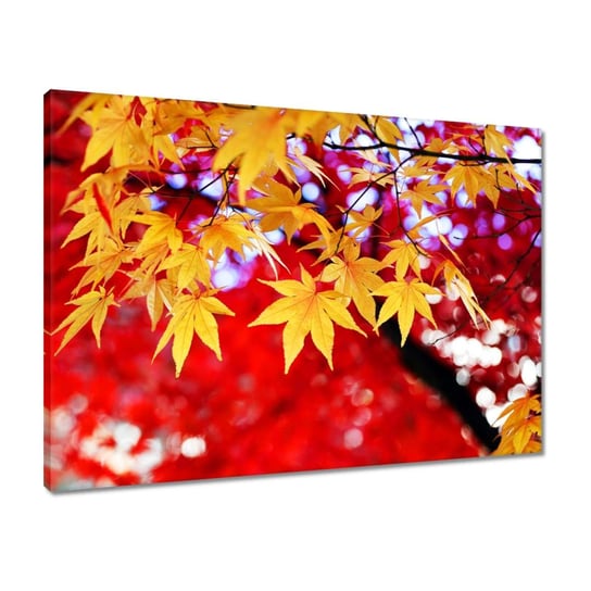 Obraz 70x50 Żółty jesienny liść ZeSmakiem
