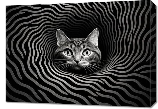 Obraz 70x50cm Hipnotyzujący Koci Wzrok Zakito Posters