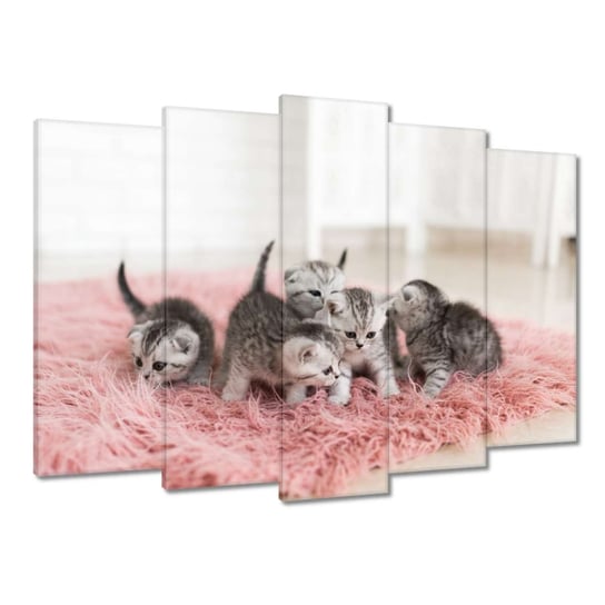 Obraz 70x50cm Pięć małych kotków ZeSmakiem
