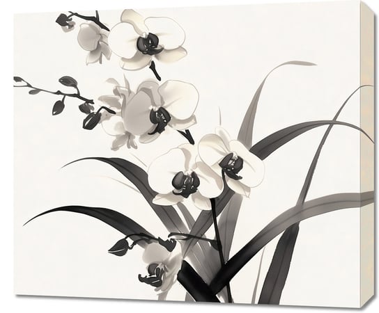 Obraz 70x60cm Orchidea Inna marka