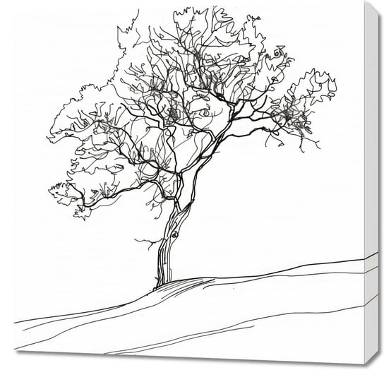 Obraz 70x70cm Drzewo w Zarysie Inna marka