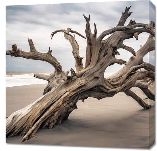 Obraz 70x70cm Wieczność Zaklęta w Drzewie Inna marka