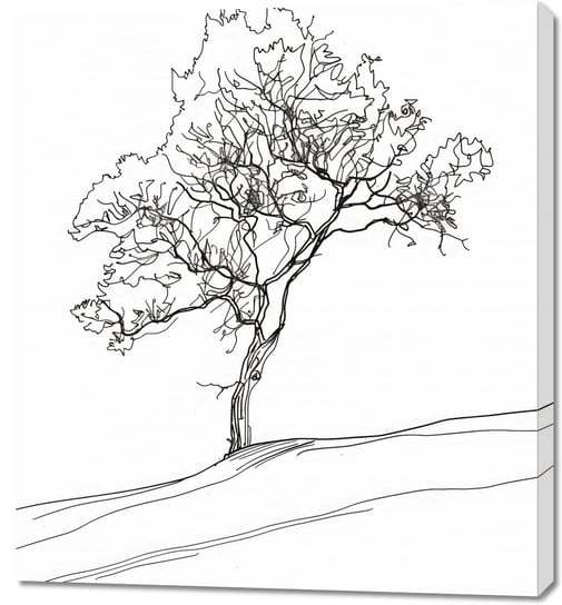 Obraz 90x100cm Drzewo w Zarysie Inna marka