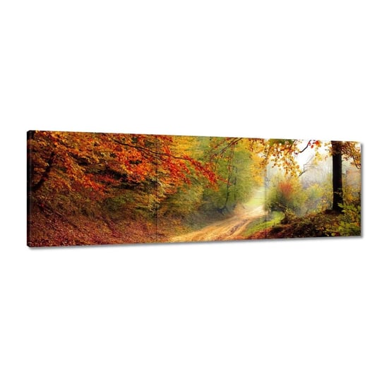 Obraz 90x30cm Droga w lesie ZeSmakiem