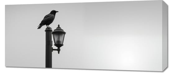 Obraz 90x40cm Samotny Postój Kruka Inna marka