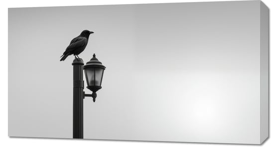 Obraz 90x50cm Samotny Postój Kruka Inna marka