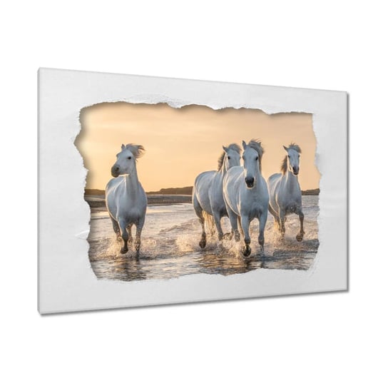 Obraz 90x60cm Dzikie konie ZeSmakiem