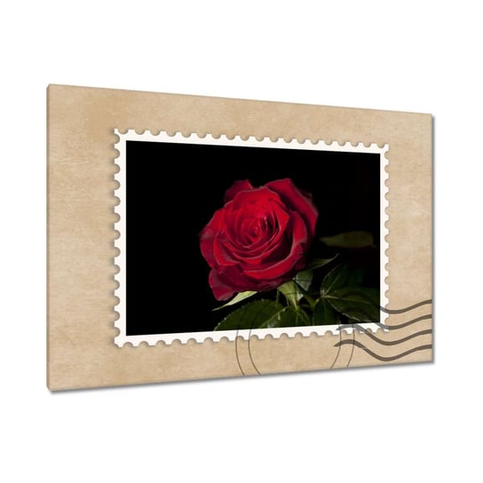 Obraz 90x60cm Piękna róża ZeSmakiem