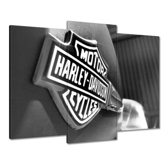 Obraz 90x70cm Logo Harley Davidson ZeSmakiem