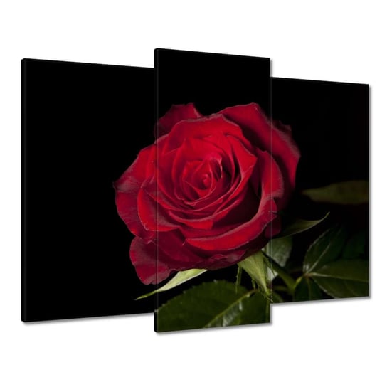 Obraz 90x70cm Piękna róża ZeSmakiem