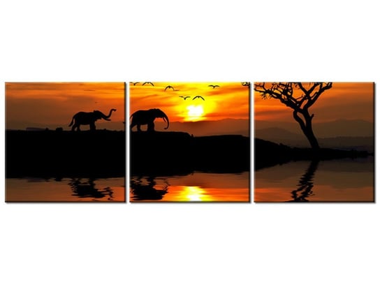 Obraz Afryka, 3 elementy, 120x40 cm Oobrazy