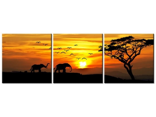 Obraz Afryka, 3 elementy, 150x50 cm Oobrazy