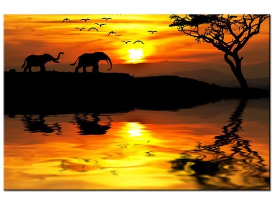 Obraz Afryka, 30x20 cm Oobrazy