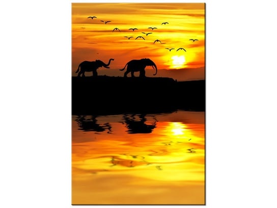 Obraz, Afryka, 40x60 cm Oobrazy