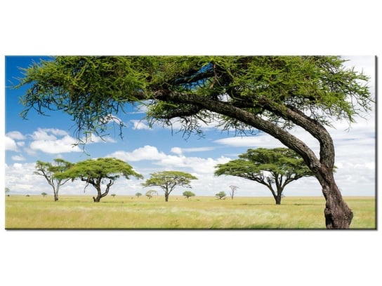 Obraz Afrykański pejzaż, 115x55 cm Oobrazy