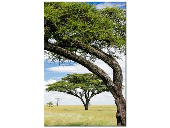 Obraz Afrykański pejzaż, 20x30 cm Oobrazy