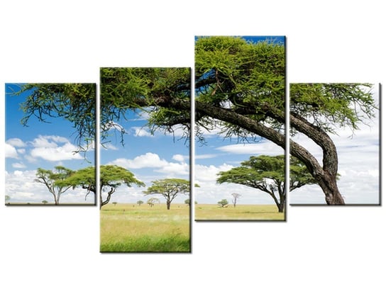 Obraz Afrykański pejzaż, 4 elementy, 120x70 cm Oobrazy