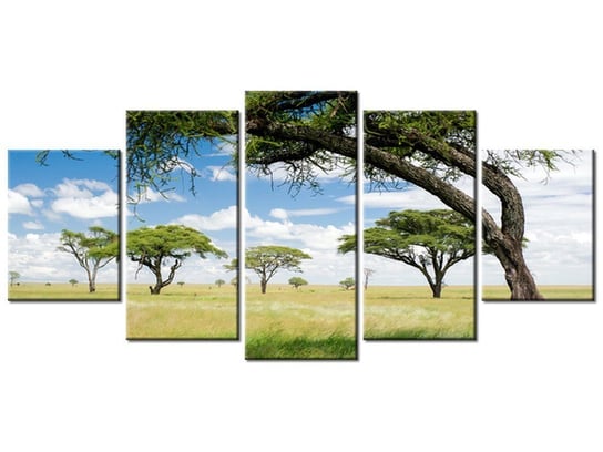 Obraz, Afrykański pejzaż, 5 elementów, 150x70 cm Oobrazy