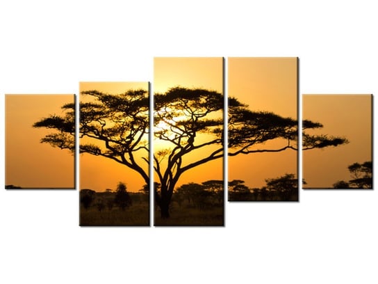 Obraz, Akacja w Serengeti, 5 elementów, 150x70 cm Oobrazy