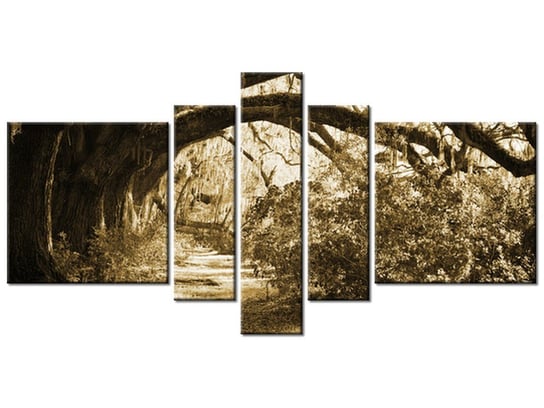 Obraz, Alejka wśród dębów, 5 elementów, 160x80 cm Oobrazy