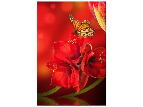 Obraz Amarylis i motyle, 20x30 cm Oobrazy