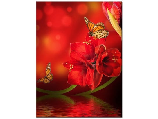 Obraz Amarylis i motyle, 30x40 cm Oobrazy