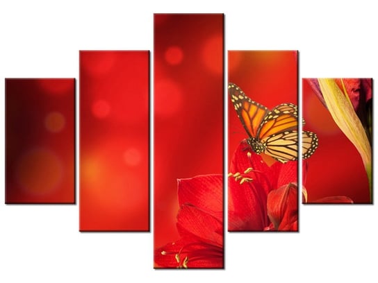 Obraz Amarylis i motyle, 5 elementów, 100x70 cm Oobrazy
