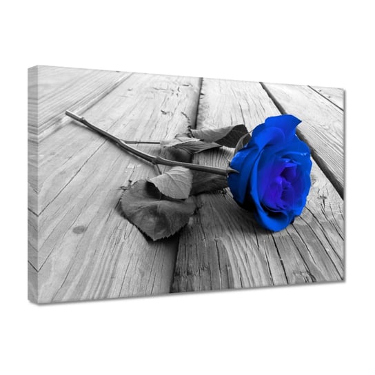 Obraz Atramentowa róża, 30x20cm ZeSmakiem