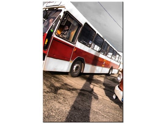 Obraz Autobus ogórek, 20x30 cm Oobrazy