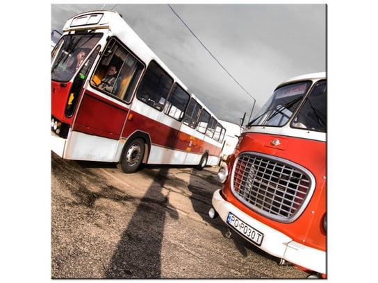 Obraz Autobus ogórek, 50x50 cm Oobrazy